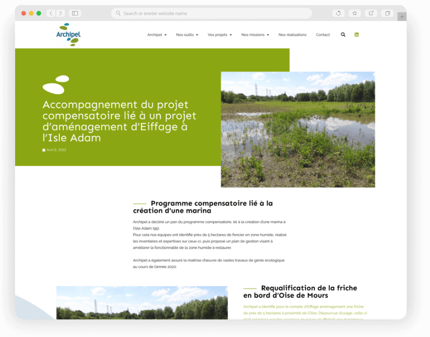 Zone humide liée au projet Eiffage à l'Isle Adam.