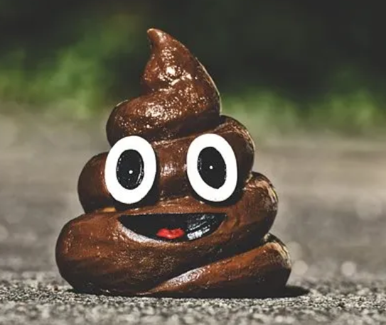 Emoji caca souriant sur le sol.
